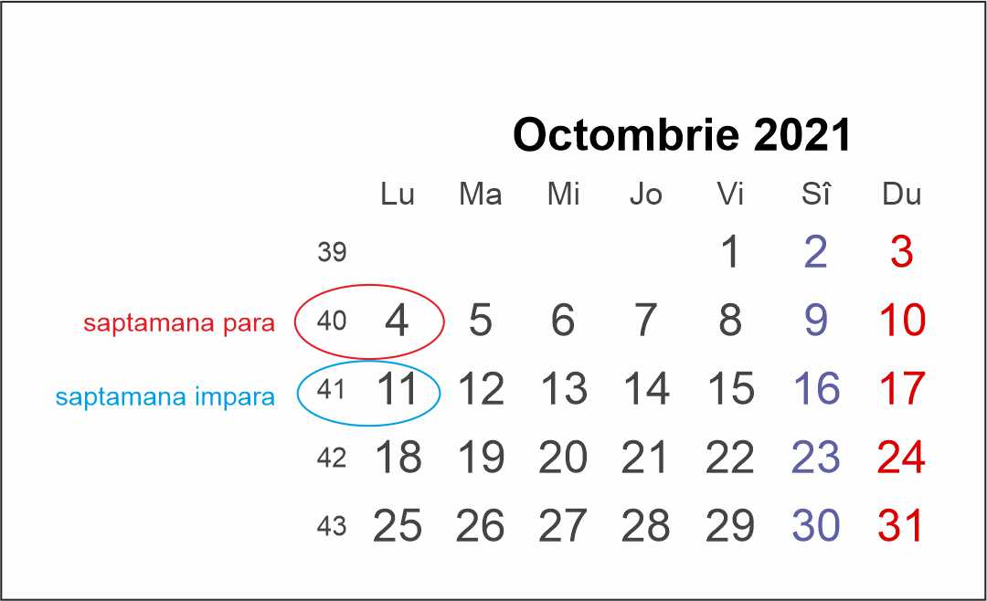 saptaman para impara